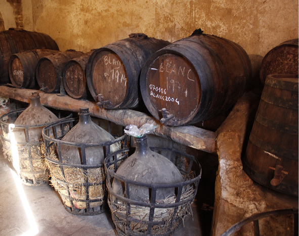 Vinos Rancios Plantadeta
