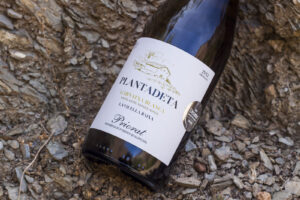 Plantadeta Grenache Blanc